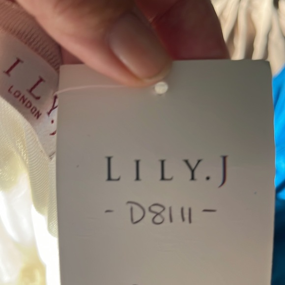 LACE MINI Dress 8 (M) NWT - Picture 4 of 9